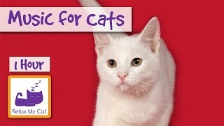 1 Hour of Music for Cats  Relax your Cats and Send them to Sleep CATS LOVE THIS MUSIC [upl. by Warfeld]