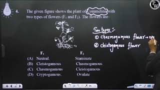 The given figure shows the plant of Commelina with two types of flowers F1 and F2 The flowers [upl. by Ennahteb418]