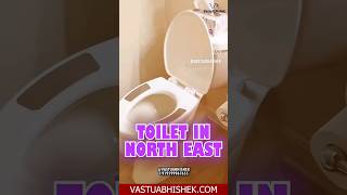 North East Toilet Vastu Remedy vastu motivation vastutipsforhome manifestation podcast [upl. by Leber]