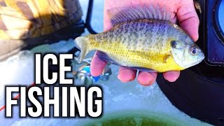 Ice Fishing for Bluegills 2016 [upl. by Nathanael]