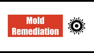 Mold Remediation [upl. by Martelle]