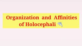 Holocephali  General character  Organisation and Affinities of Holocephali in Hindi amp English [upl. by Woothen]