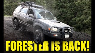 Subaru Forester Off Road  The Forester is Back [upl. by Gilda]