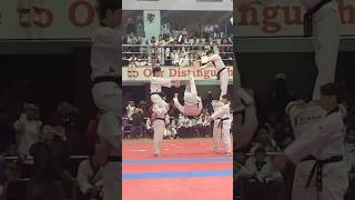 Kukkiwon Demonstration Team Breaking Part  1 nepal taekwondo kukkiwon tkd demo martialarts [upl. by Ttik]