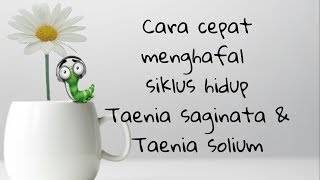 Cara cepat menghafal siklus hidup Taenia saginata amp Taenia solium [upl. by Avril45]