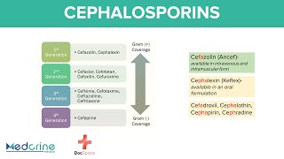 Cephalosporins Pharmacology 1st to 5th Generations Mnemonics Indications and Adverse effects [upl. by Noret294]