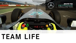 F1 W03  onboard camera with Nico Rosberg [upl. by Oikim262]