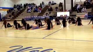 Watkins Mill High School Poms senior night 20132014 [upl. by Mide]