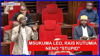 MSUKUMA BUNGENI LEO RAIS SAMIA KUTAMKA NENO quotSTUPIDquot NDUGU ZANGU HAWAJAELEWA [upl. by Oiragelo753]