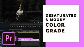 Desaturated Moody Color Grading in Premiere Pro No LUTs [upl. by Brosy]