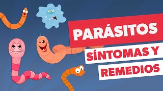 Todo sobre PARÁSITOS INTESTINALES Síntomas medicamentos y prevención [upl. by Ardath]