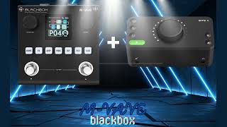 mvave blackbox output to interface sound [upl. by Akinar]