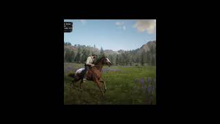 IS THIS the RAREST Horse in RDR2 [upl. by Lilahk]