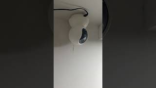 Wifi camera 😱😱camera wificamera viralshort subscribe [upl. by Doersten260]