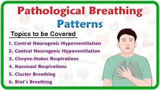 Pathological breathing  Abnormal breathing patterns  Kussmaul Cheyne stokes Biots Cluster [upl. by Diena954]