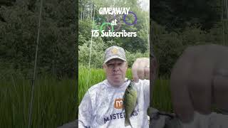 Drop Shot Fishing Action fishing bass giveaway shorts short ytshorts shortvideo fish fun [upl. by Airdnazxela801]