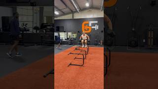 Hurdle Jumps with 40pound Dumbells [upl. by Komsa516]