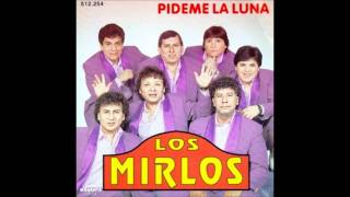 Los Mirlos  Papelito Rosado [upl. by Hunt816]