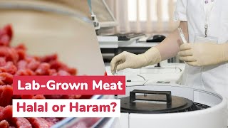 LabGrown Meat Halal or Haram [upl. by Rawlinson]