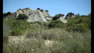 Sterpazzola di sardegna  Canto [upl. by Lillith]