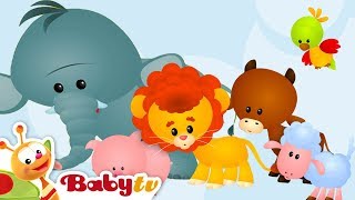 Animal Sounds and Names for Kids amp Toddlers 🐄 🐑  BabyTV [upl. by Eiboh]