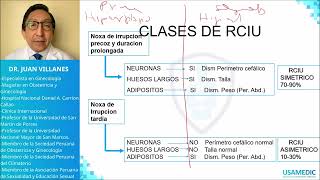 Retraso del crecimiento intrauterino RCIU USAMEDIC  Obstericia 11 [upl. by Sutsuj]