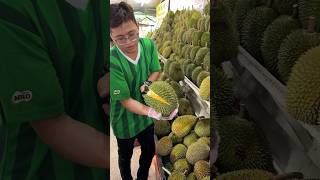 Durian heaven The Most Popular Durian Store in Malacca Malaysia  Fruit Cutting Skills [upl. by Alvita]