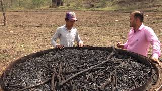 Bio energy Project Video about Charcoal Making Technology [upl. by Cleasta600]