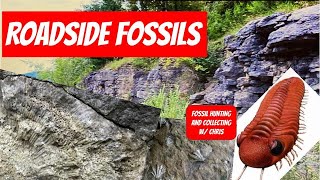 Roadside Fossils Fossil Hunting and Fossil Collecting with Chris Road Side Fossils Trilobites Coral [upl. by Drobman]