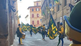 quotGet Ready for Siena Palio 2024 August 16th Spectaclequot [upl. by Marabelle501]