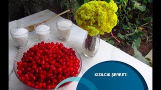 KIZILCIK ŞERBETİ  Söz Mutfakta [upl. by Triley]