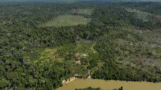 Deforestation in Brazils Amazon drops by nearly 31 [upl. by Oalsinatse881]