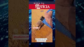 Emocionante Homem Pausa Jornada para Salvar Tatu Sedento e Dá Lição de Humanidade [upl. by Rehpotsrihc572]