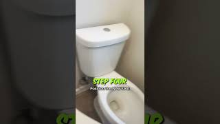 DIY How to replace toilet Seat [upl. by Romy715]