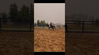 Horse Riding Mini Vlog [upl. by Morette]