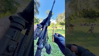 50 BMG Raptor 50 vs DA Targets [upl. by Suoirad]