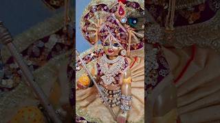 Radhe radhe🙏viralshortsytstudio laddugopalshortsladdugopalshyamguddugussar [upl. by Yrogiarc]