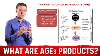 What Are Advanced Glycation End Products AGEs – Dr Berg [upl. by Aneeuq]