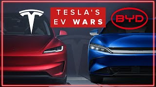 The TRUTH About Chinese BYD amp Tesla  Which Is The Best [upl. by Anidal618]