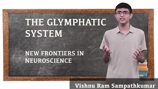 The Glymphatic System [upl. by Netsirhc]