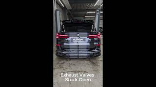 BWM X5 M60i dÄHLer Stage 3 Exhaust Sound [upl. by Hoeve512]