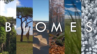 Biomes  The Living Landscapes of Earth Introduction To Biomes Of The World Geodiode [upl. by Lanie]