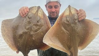 Double session Ogmore by sea and sully island BIG blonde rays [upl. by February903]