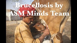 brucellosis infectious diseases 2 by ASM Minds [upl. by Og]