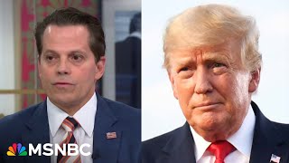 Anthony Scaramucci Trump will hurt anybody anything in his way [upl. by Fowkes]