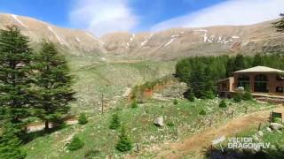 Los Cedros De Dios  Cedars Of God  Líbano  Lebanon [upl. by Patin543]