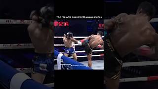 It is a NIGHTMARE to fight BUAKAW Credit of this clip NAKMUAYTHAI muaythai mma viral sports [upl. by Dnalloh467]