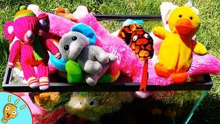 Learn Colors with Stuffed Animals in a Fish Tank with Squishee Nugget [upl. by Wight]