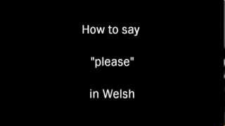 learning Welsh how to say quotpleasequot in Welsh [upl. by Oibirot]