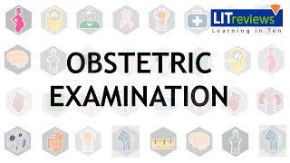 Obstetric Examination [upl. by Millard932]